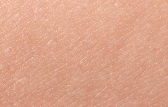 skin skin